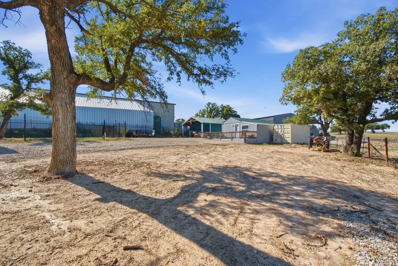 Large oak in the yard with the shop and cottage in the distance