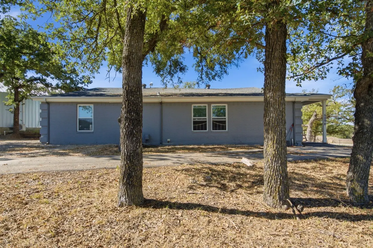 Back of the house seen between two tall oak trunks